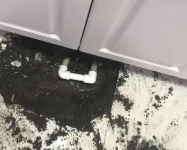 册亨查漏水哪家好